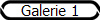 Galerie 1